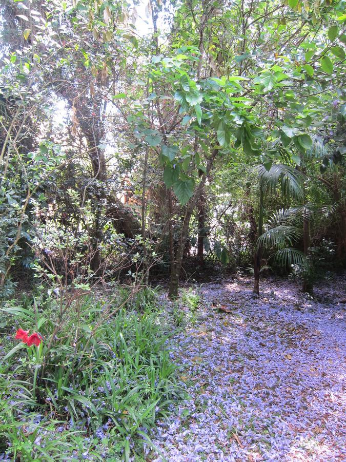 Kidd Street Cottages Mount Tamborine Extérieur photo
