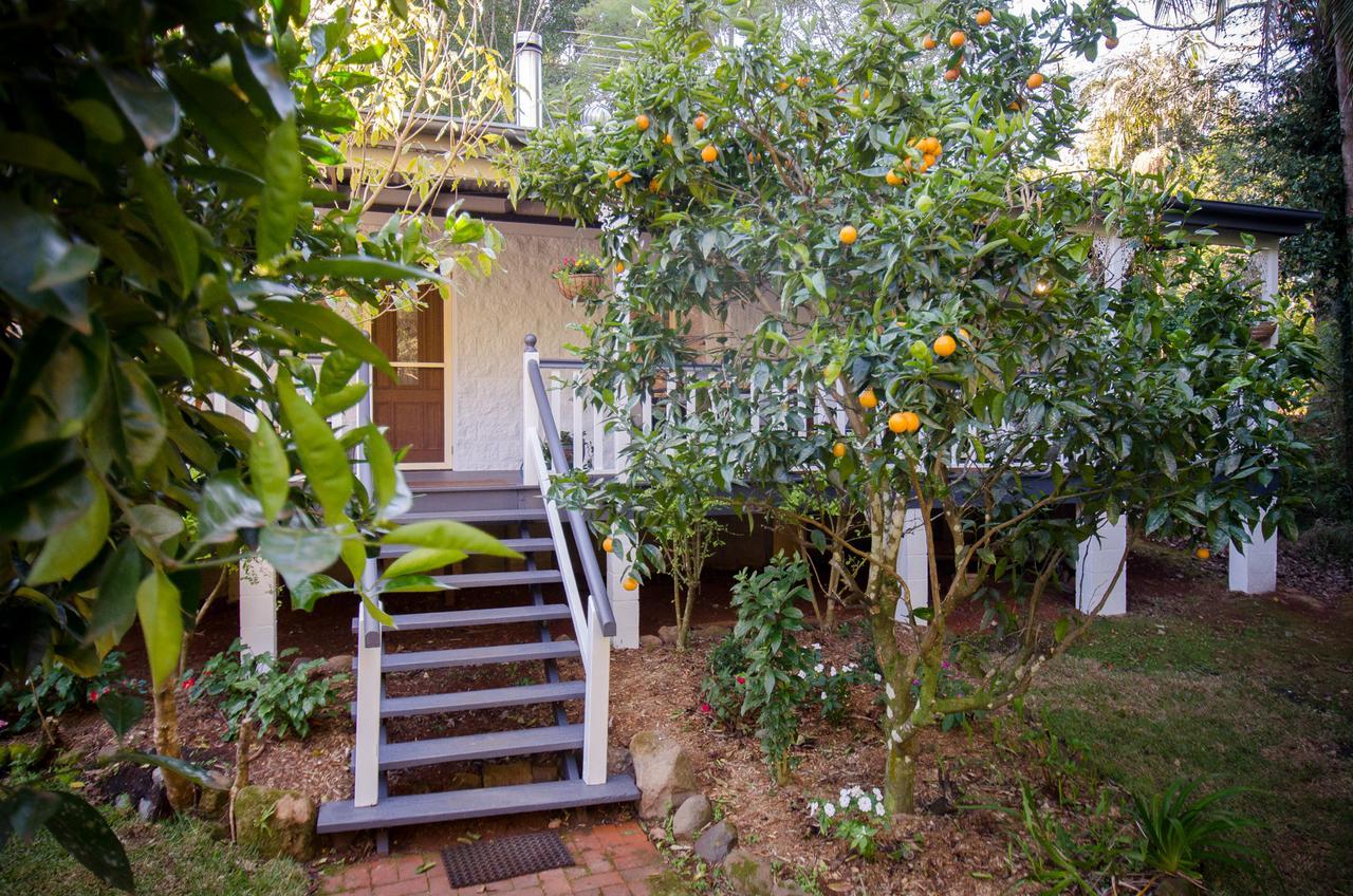 Kidd Street Cottages Mount Tamborine Extérieur photo